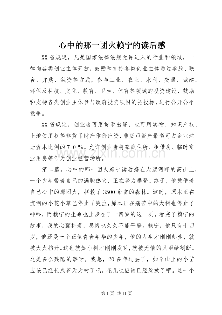 心中的那一团火赖宁的读后感.docx_第1页