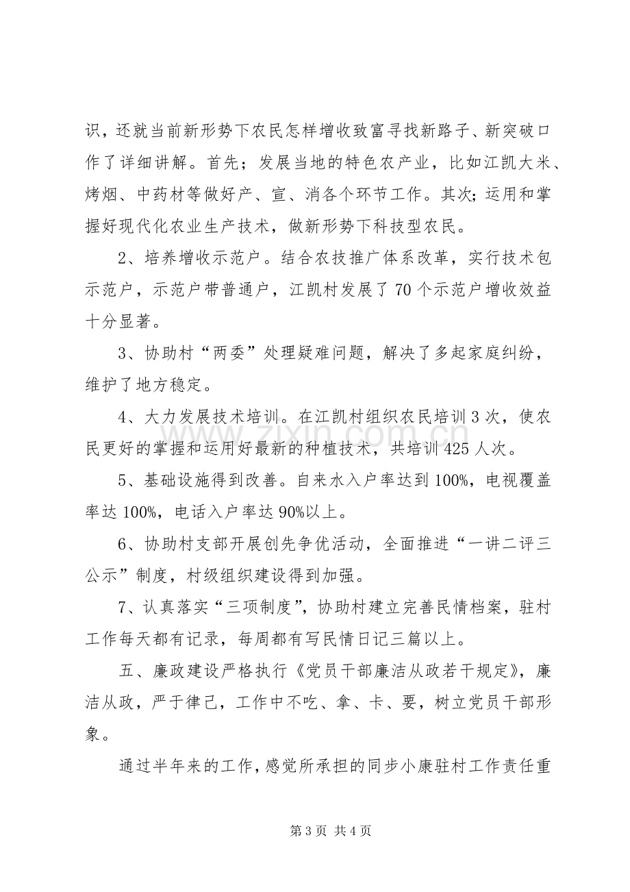 XX年同步小康驻村工作述职报告.docx_第3页