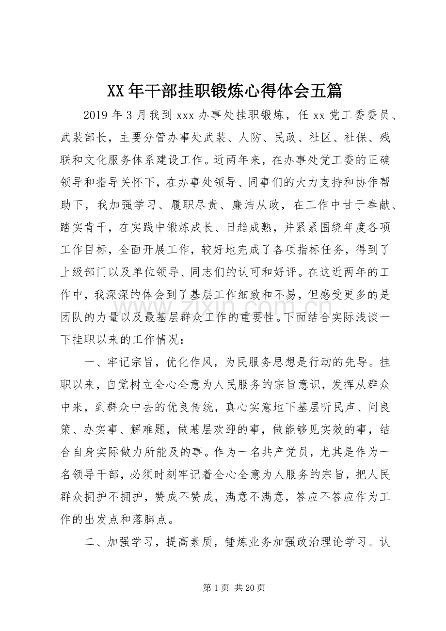 XX年干部挂职锻炼心得体会五篇.docx_第1页