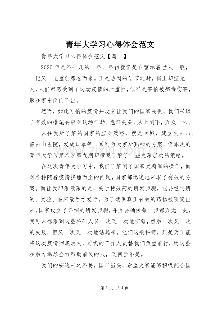 青年大学习心得体会范文.docx_第1页