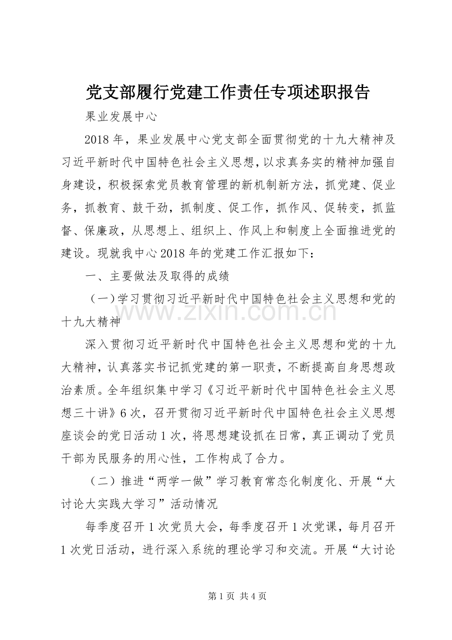 党支部履行党建工作责任专项述职报告.docx_第1页