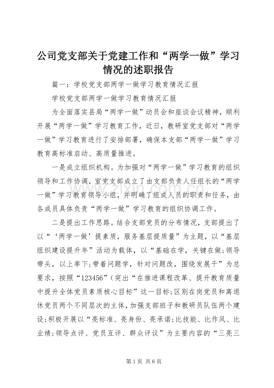 公司党支部关于党建工作和“两学一做”学习情况的述职报告.docx_第1页