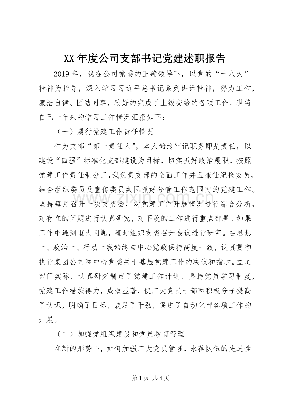 XX年度公司支部书记党建述职报告.docx_第1页