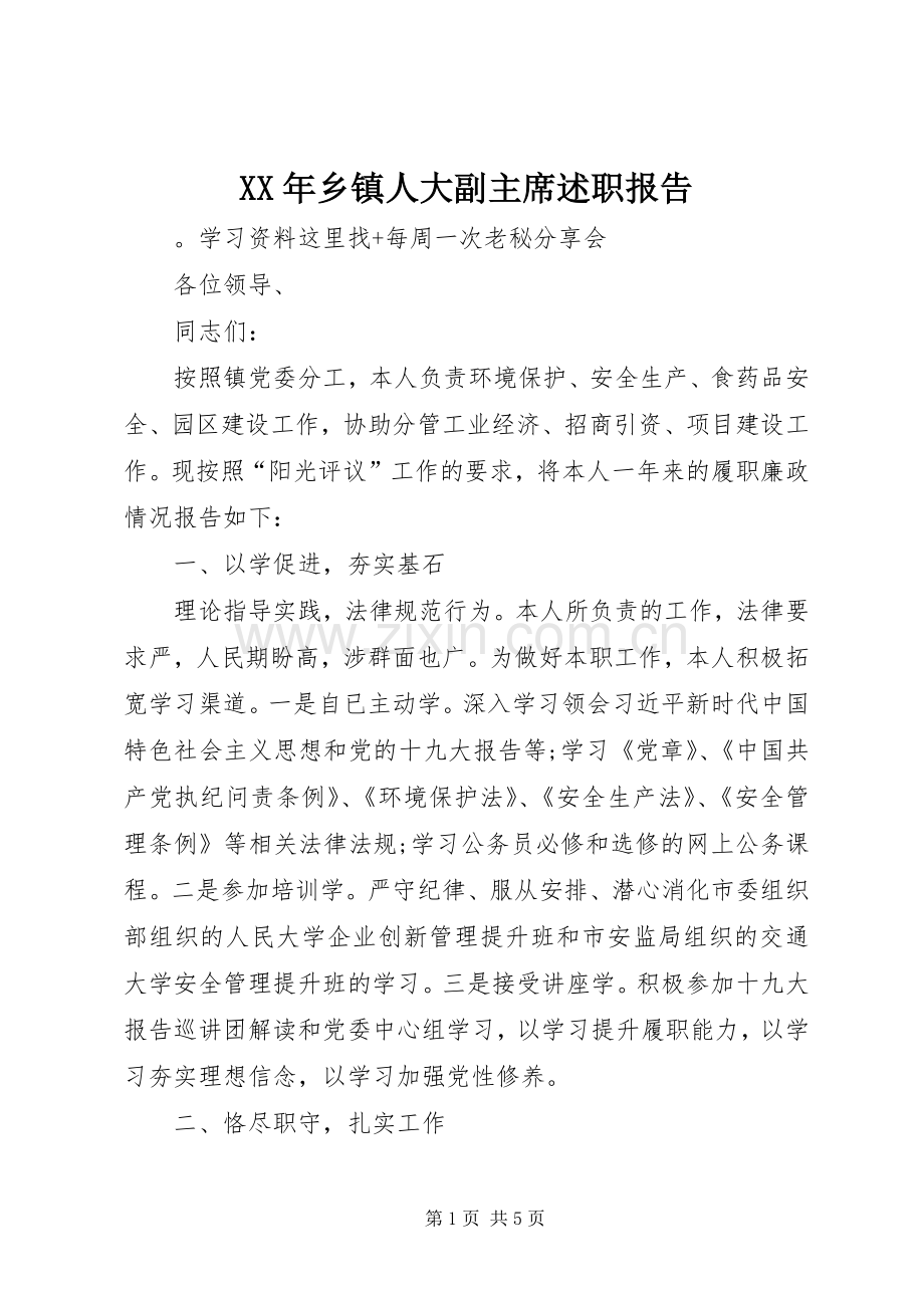 XX年乡镇人大副主席述职报告.docx_第1页