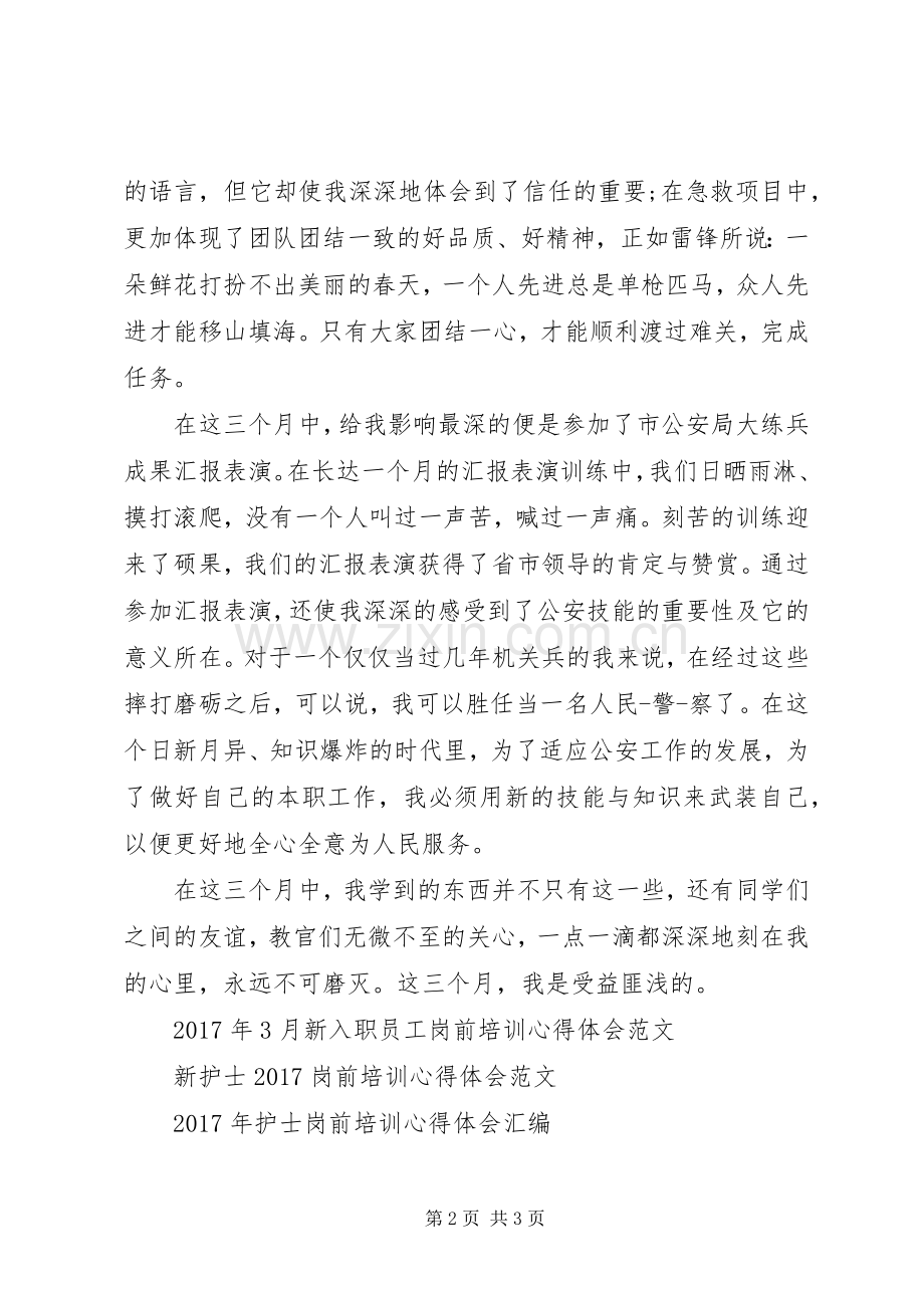 入境岗前培训心得体会.docx_第2页