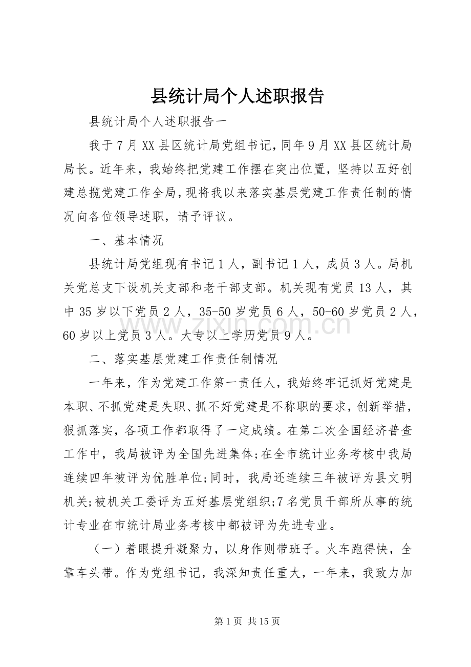 县统计局个人述职报告.docx_第1页