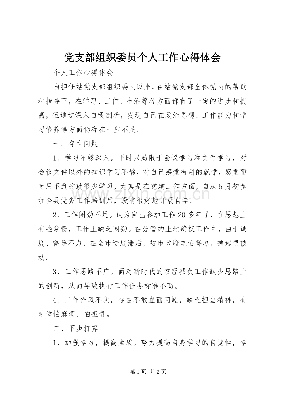 党支部组织委员个人工作心得体会.docx_第1页