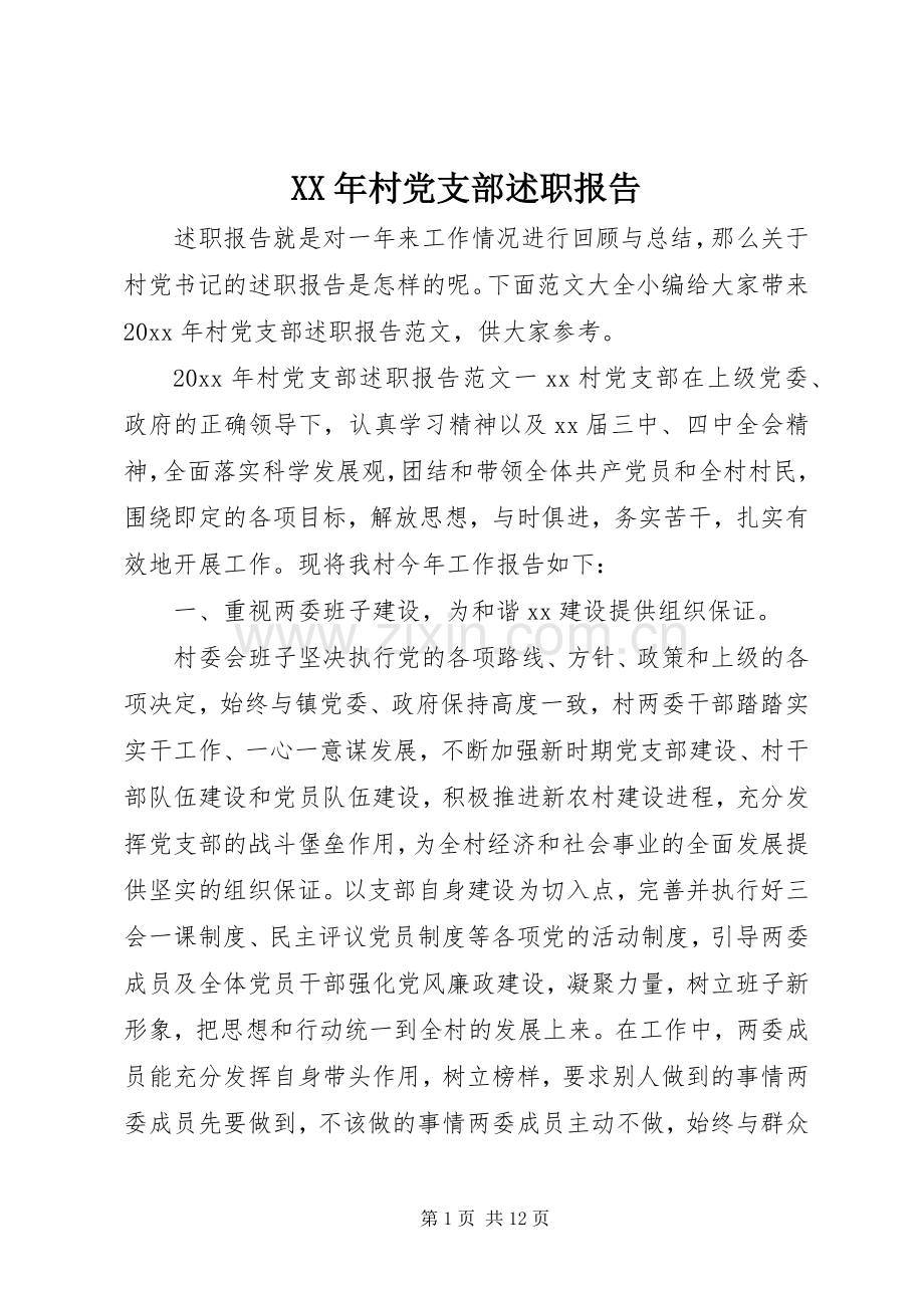 XX年村党支部述职报告.docx_第1页