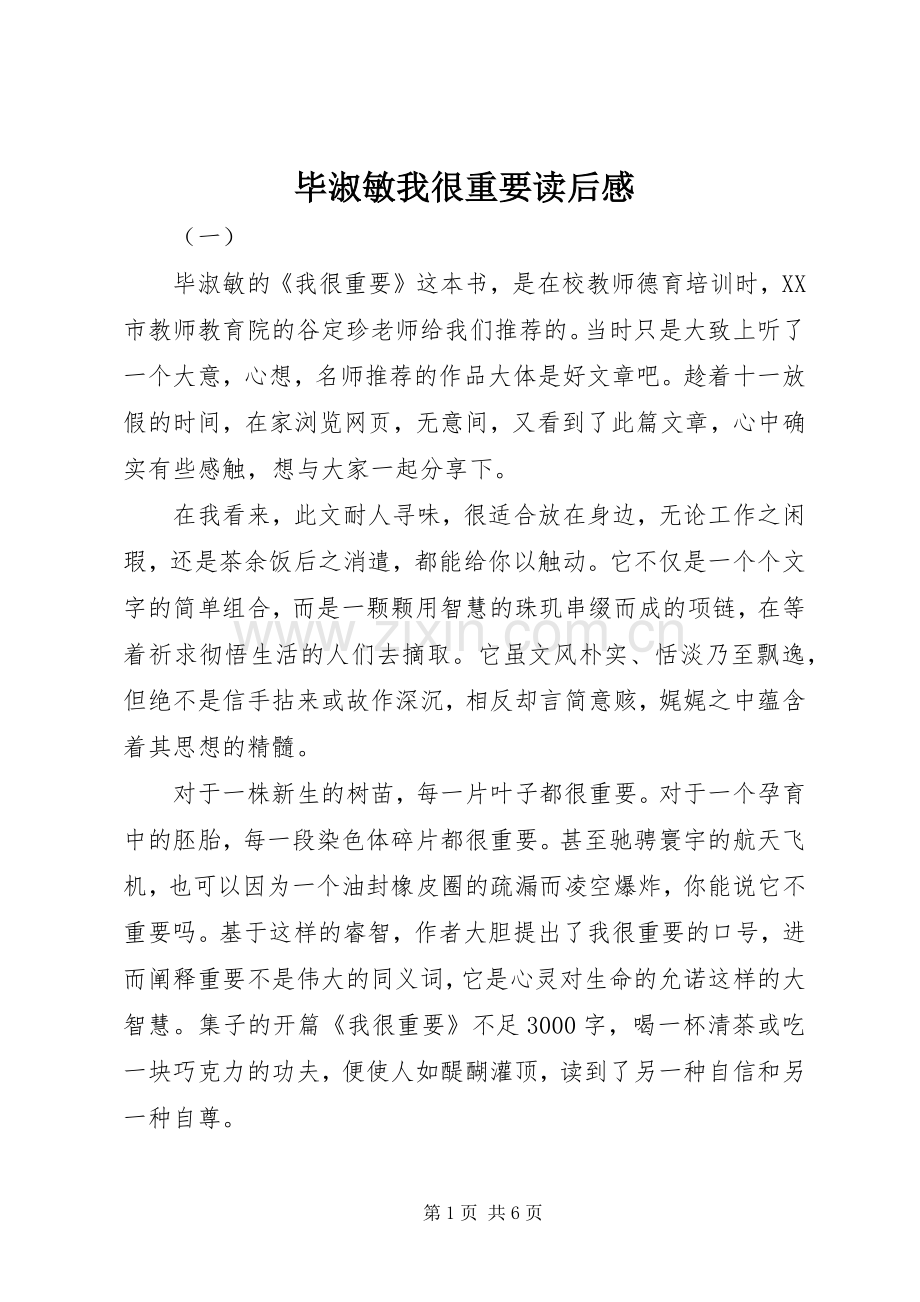 毕淑敏我很重要读后感.docx_第1页