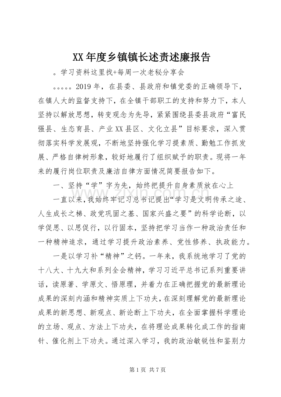 XX年度乡镇镇长述责述廉报告.docx_第1页