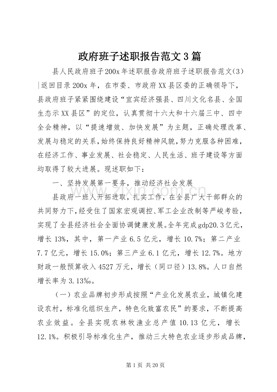 政府班子述职报告范文3篇.docx_第1页