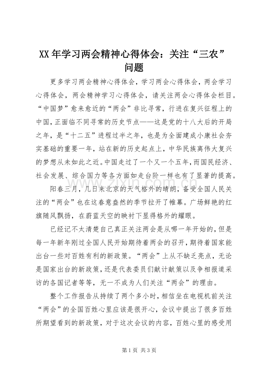 XX年学习两会精神心得体会：关注“三农”问题.docx_第1页