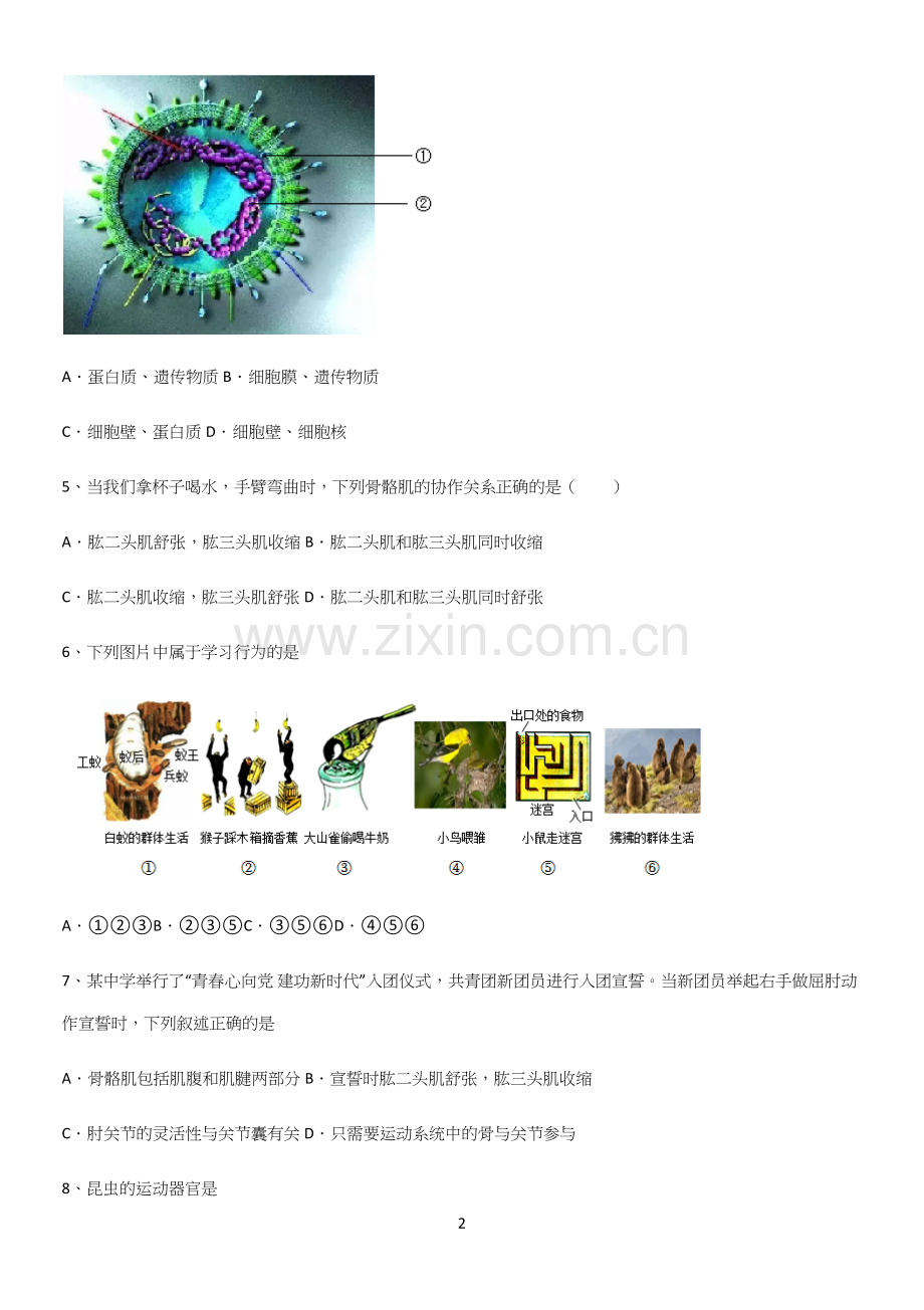 通用版初中生物八年级上册第五单元生物圈中的其他生物专项训练.docx_第2页