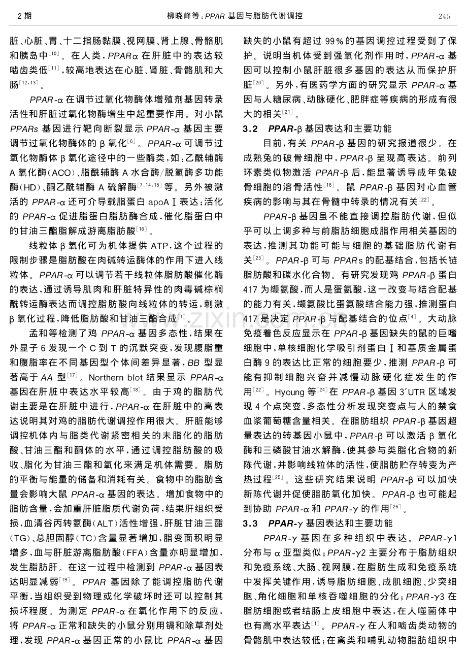 PPAR基因与脂肪代谢调控.pdf_第3页