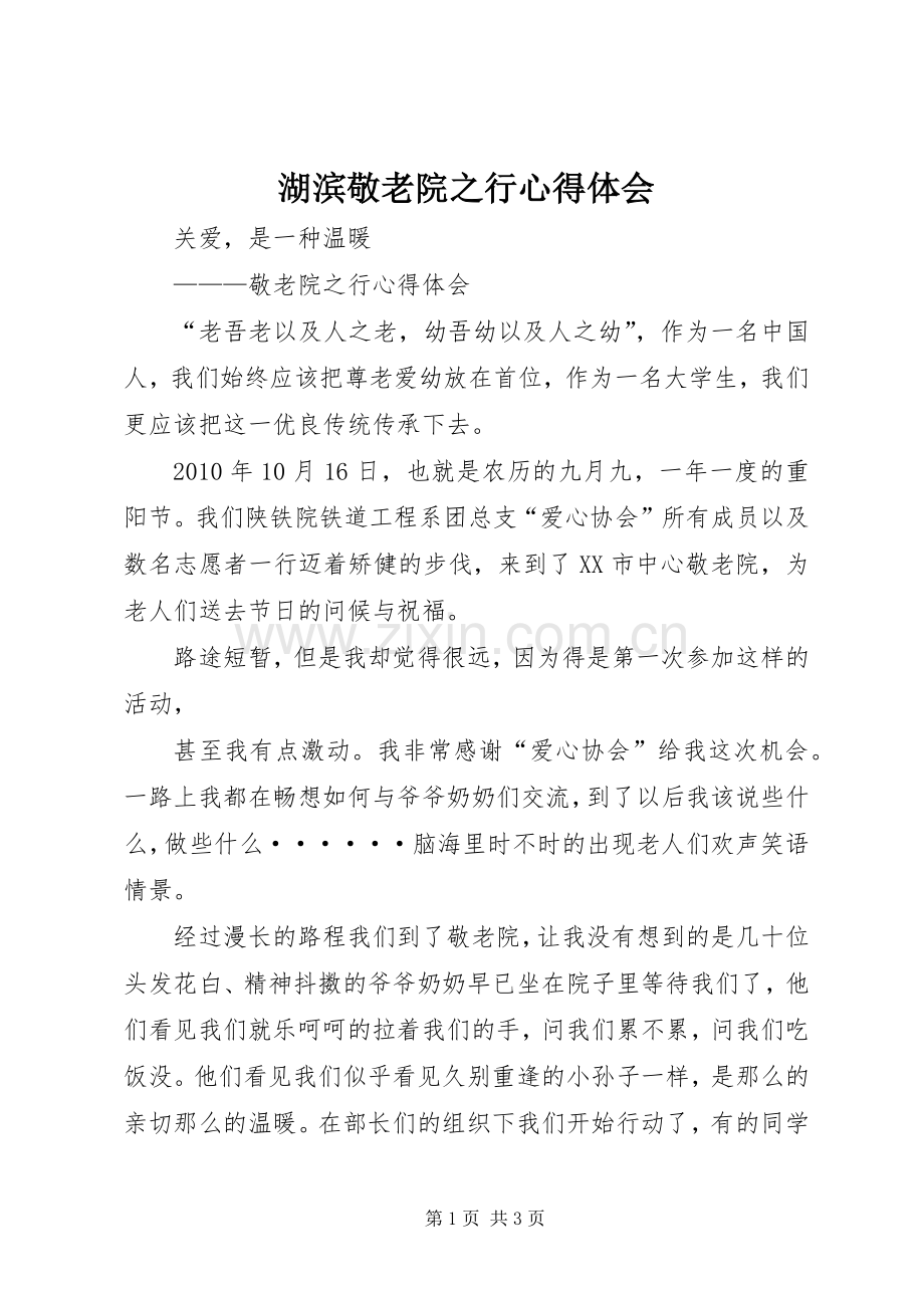 湖滨敬老院之行心得体会.docx_第1页