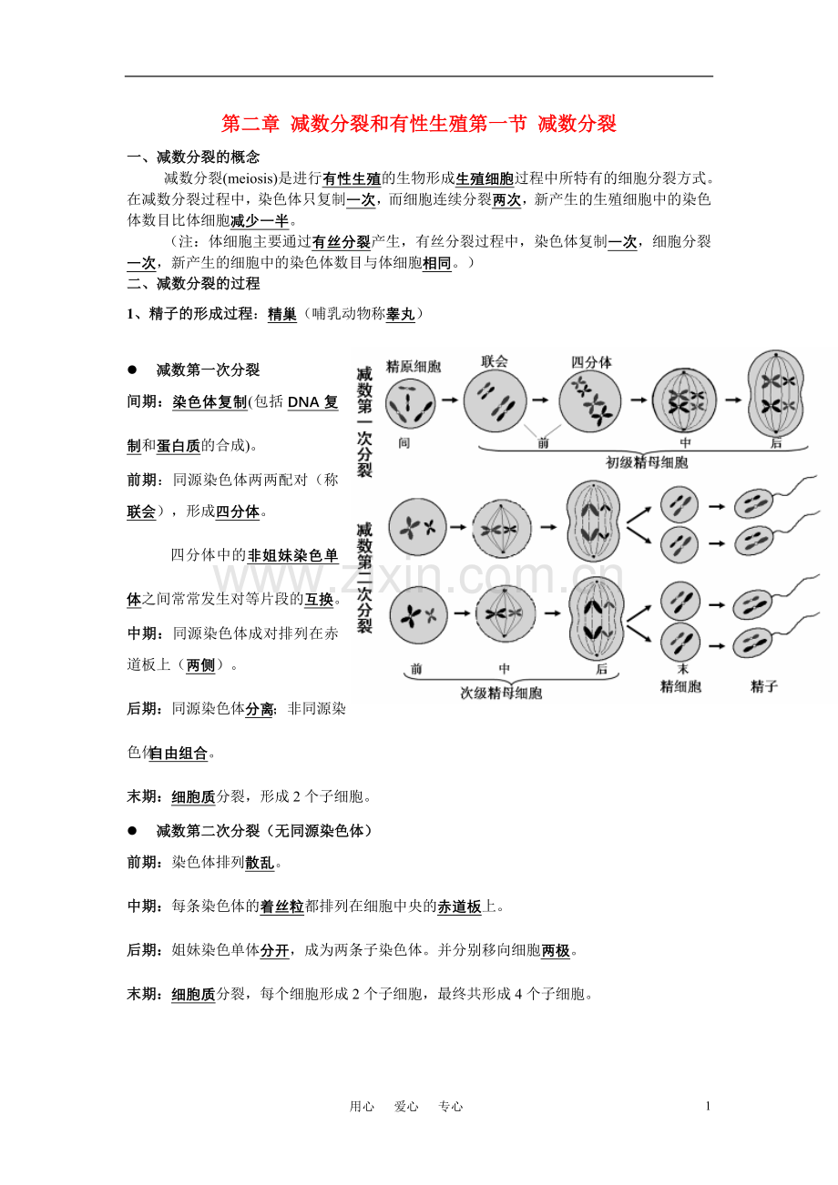 高中生物-复习提纲-必修2.doc_第1页