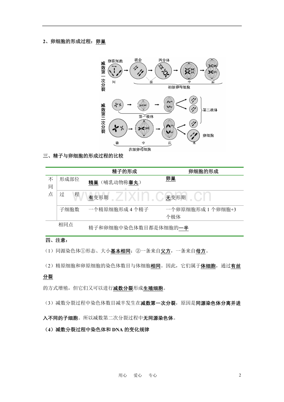 高中生物-复习提纲-必修2.doc_第2页