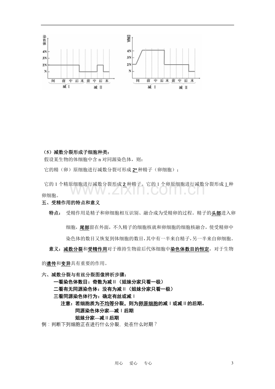 高中生物-复习提纲-必修2.doc_第3页