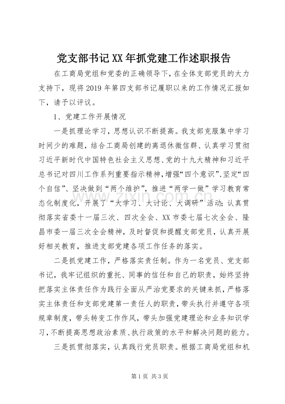 党支部书记XX年抓党建工作述职报告.docx_第1页