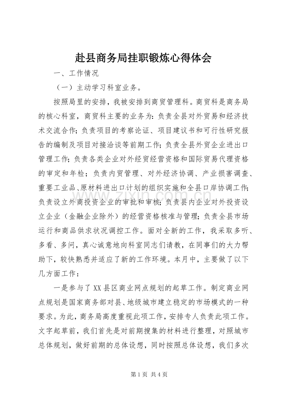 赴县商务局挂职锻炼心得体会.docx_第1页