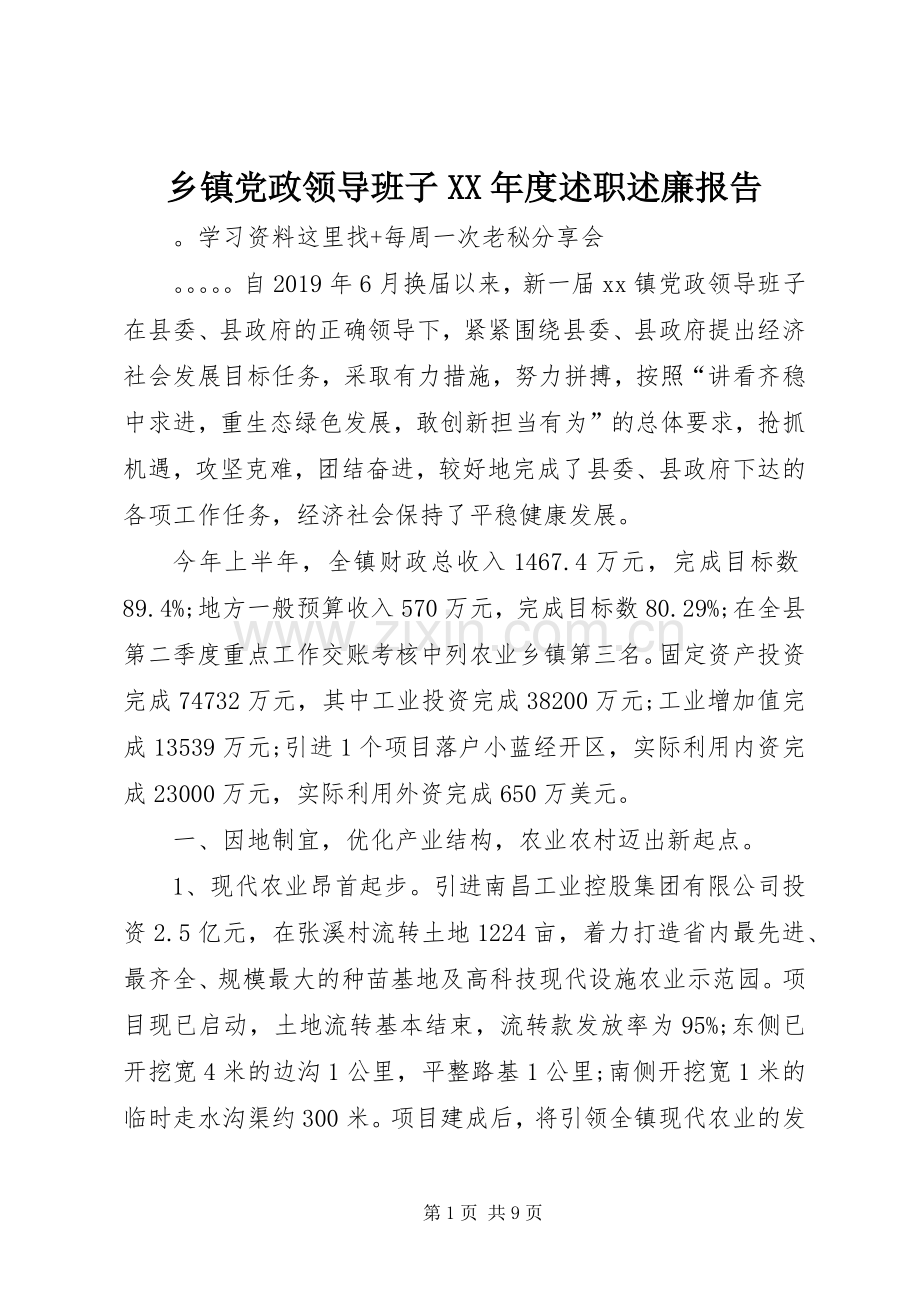 乡镇党政领导班子XX年度述职述廉报告.docx_第1页