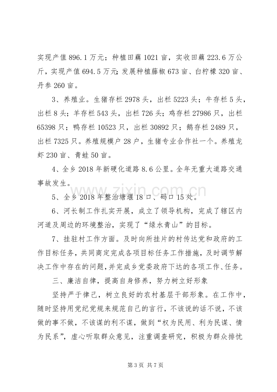 副乡长个人述职述廉述法报告.docx_第3页