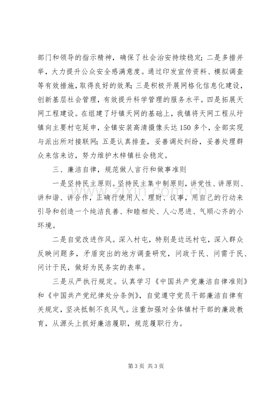 乡镇副职领导干部述职报告.docx_第3页