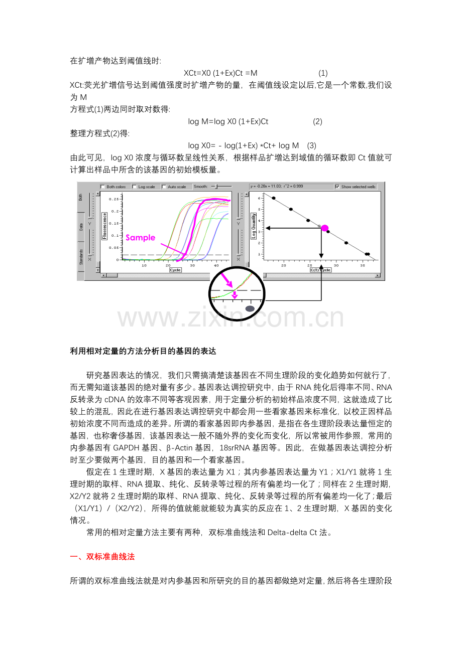 两种定量分析方法的比较及Taqman探针引物设计原则.doc_第2页