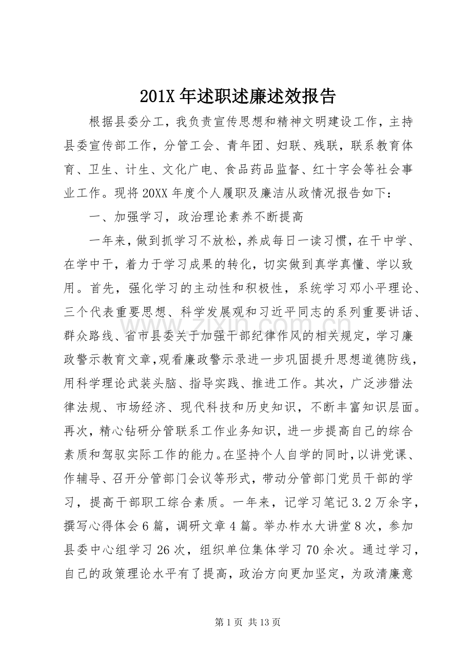 201X年述职述廉述效报告.docx_第1页