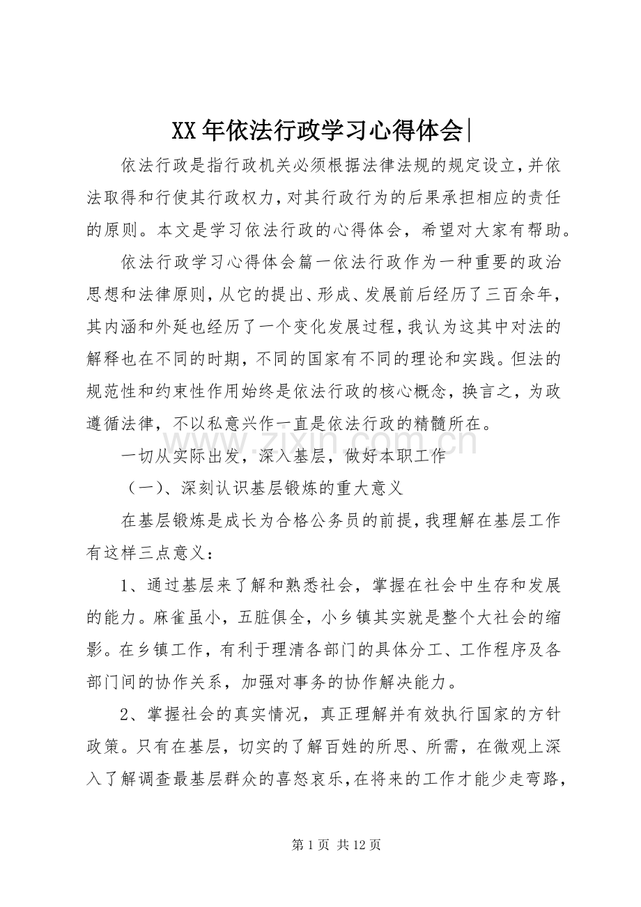 XX年依法行政学习心得体会-.docx_第1页