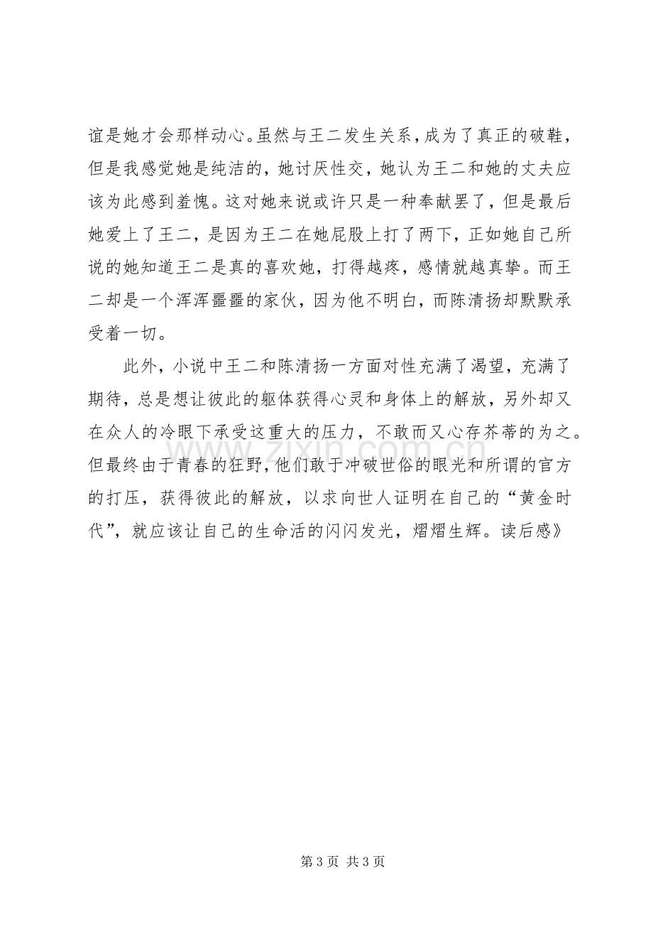 《黄金时代》读后感.docx_第3页