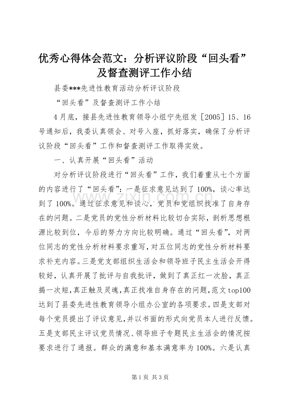 优秀心得体会范文：分析评议阶段“回头看”及督查测评工作小结.docx_第1页