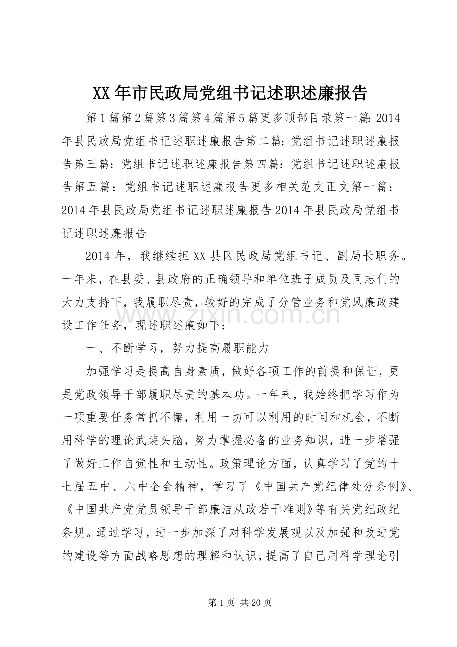 XX年市民政局党组书记述职述廉报告.docx_第1页