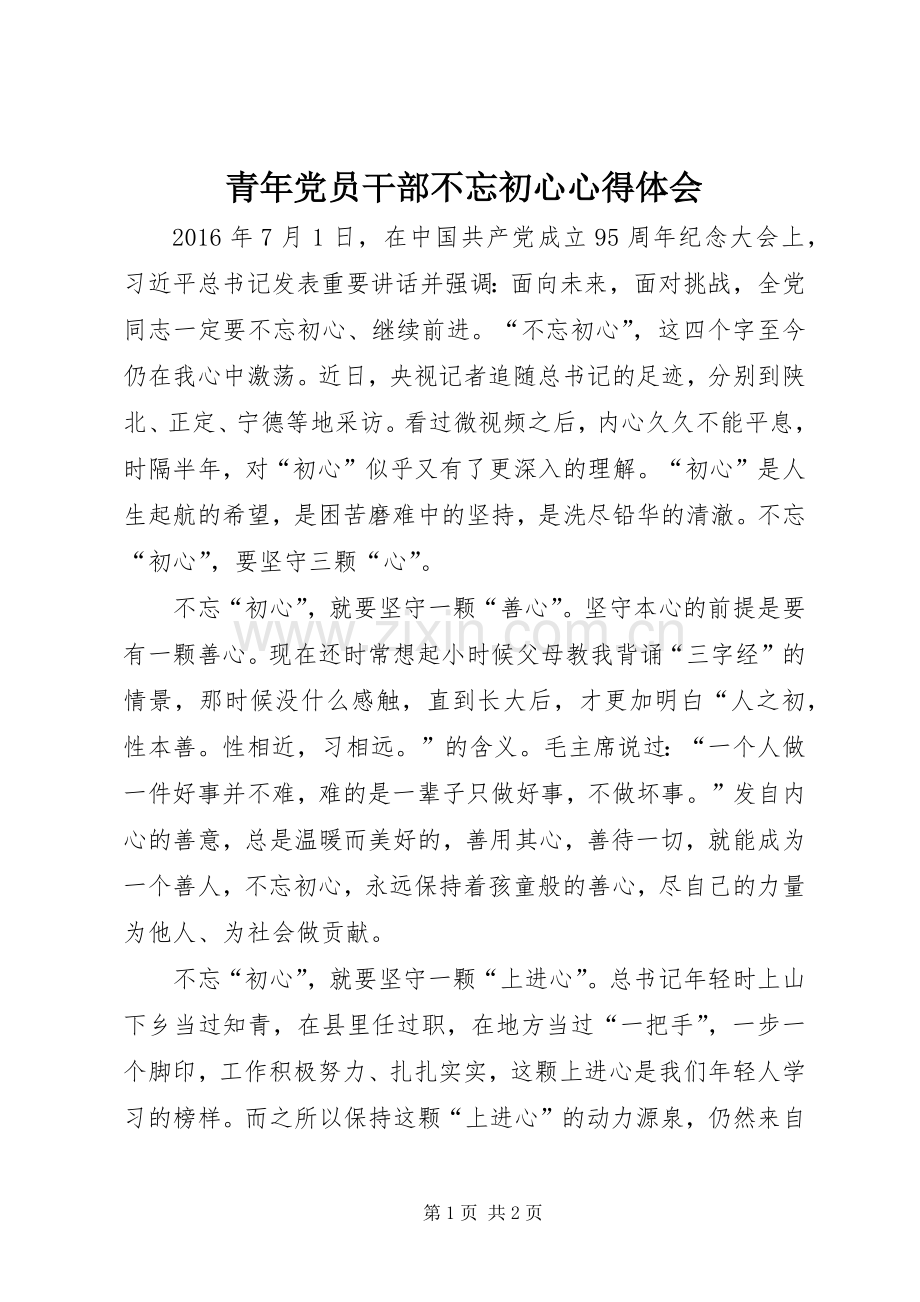 青年党员干部不忘初心心得体会.docx_第1页