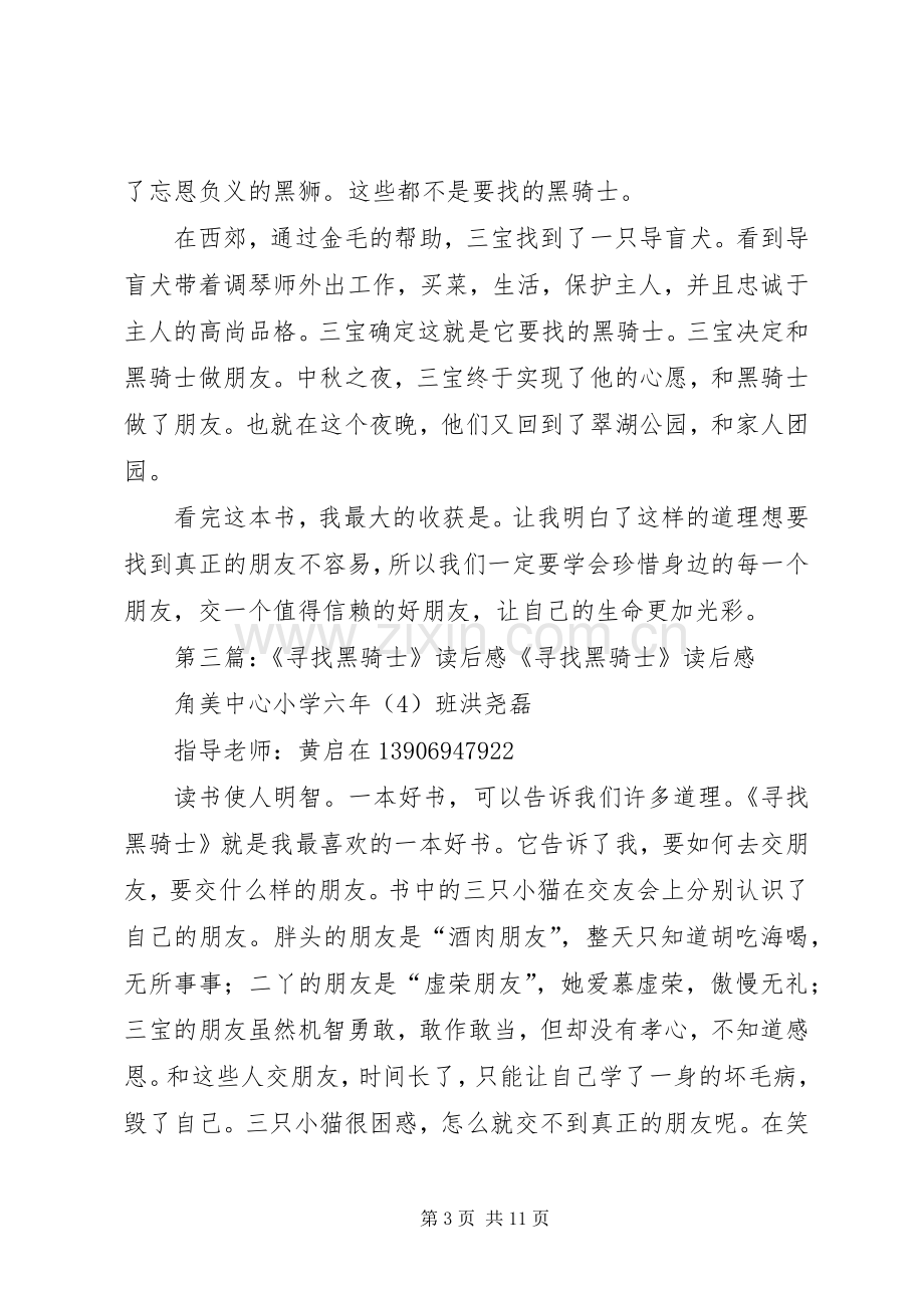 《寻找黑骑士》读后感周佳怡.docx_第3页