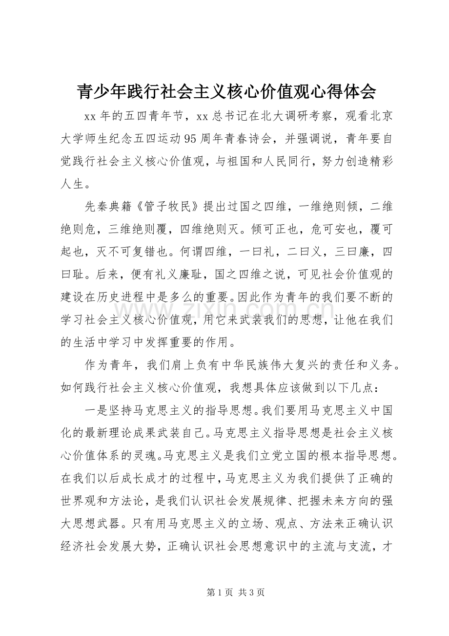 青少年践行社会主义核心价值观心得体会.docx_第1页