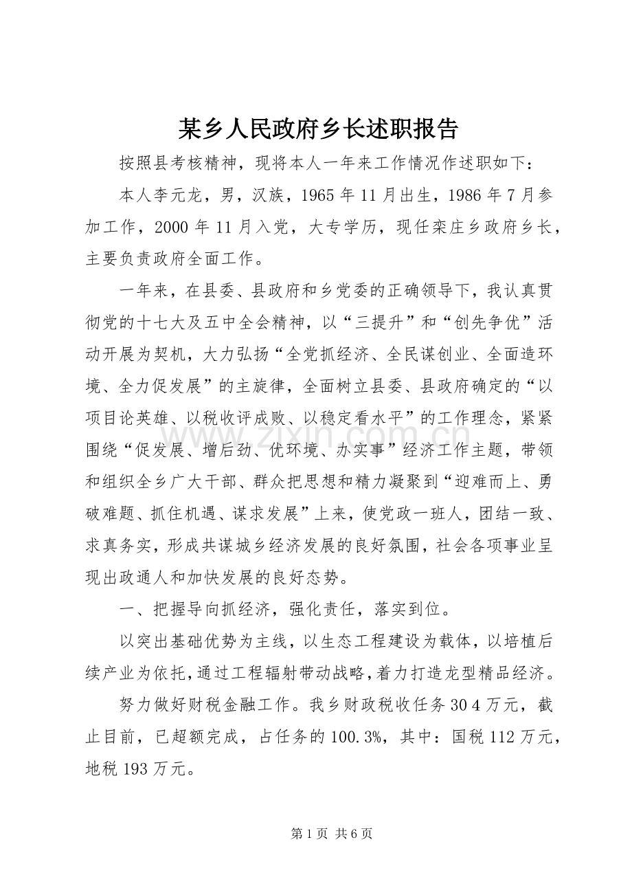 某乡人民政府乡长述职报告.docx_第1页