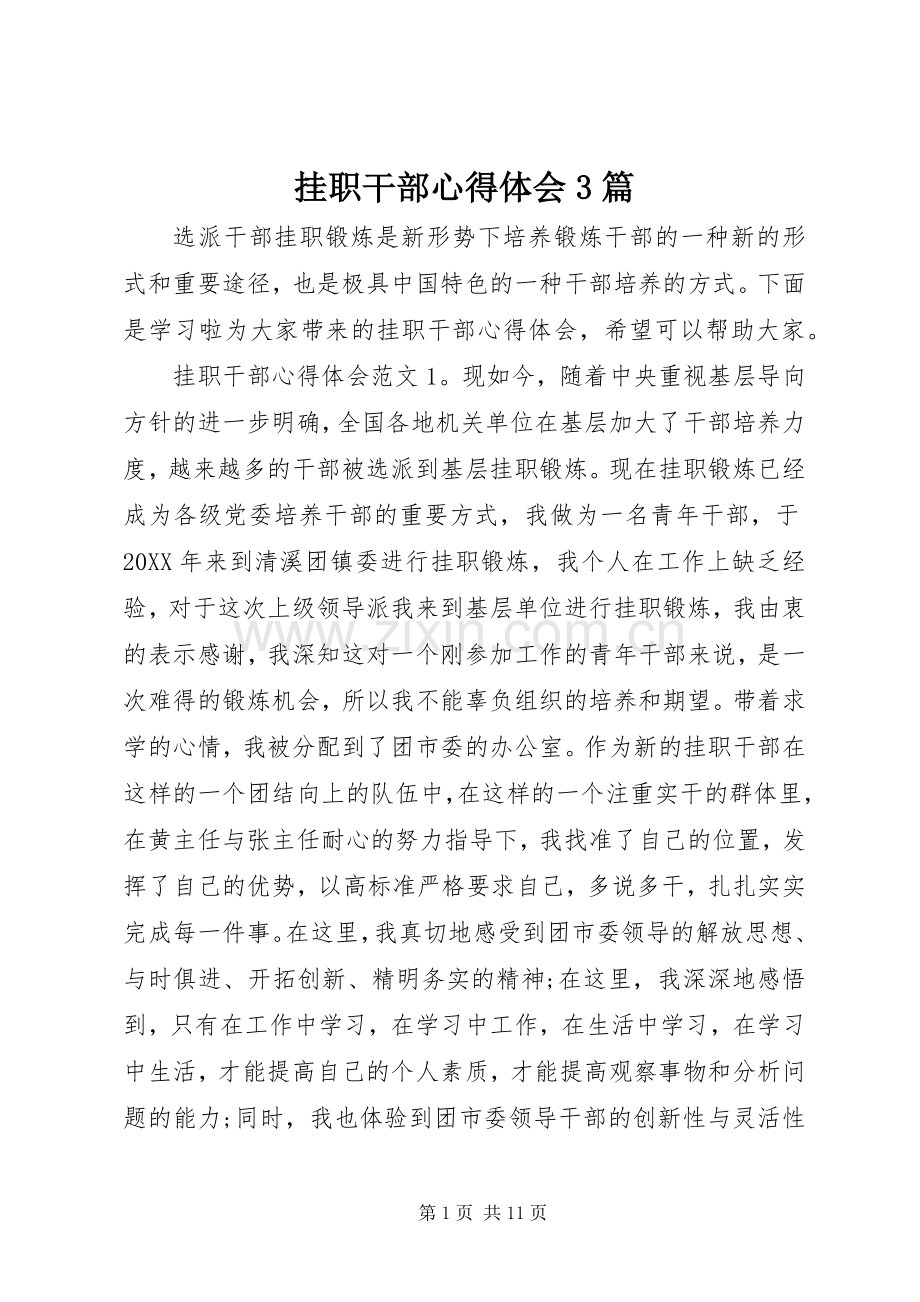 挂职干部心得体会3篇.docx_第1页