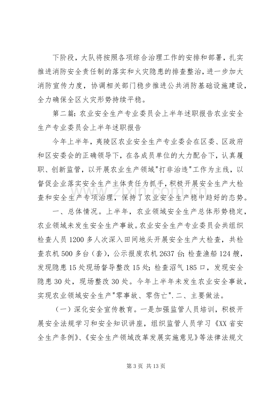 消防安全生产专业委员会上半年述职报告.docx_第3页