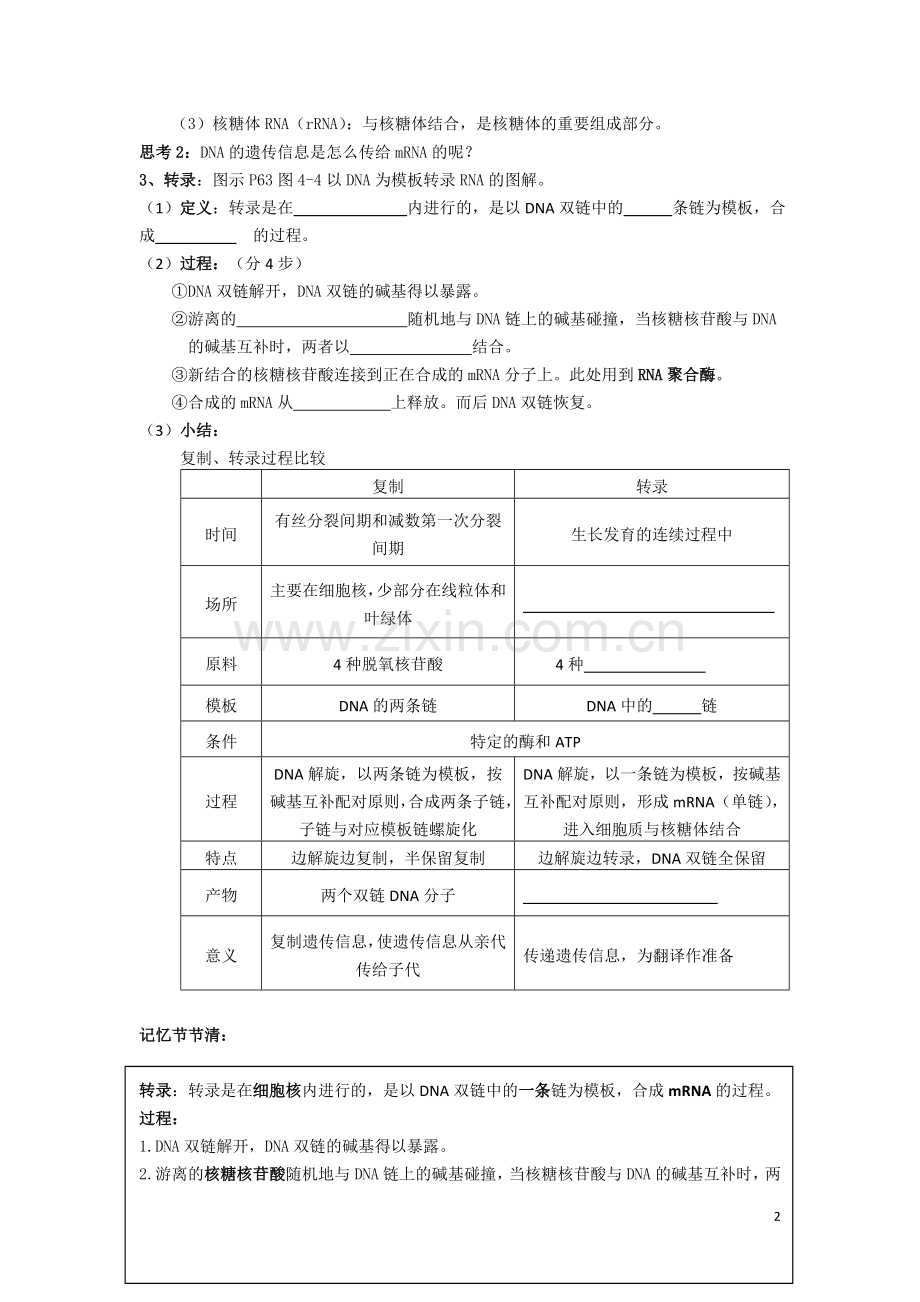 高中生物《基因指导蛋白质的合成》学案1-新人教版必修2.doc_第2页