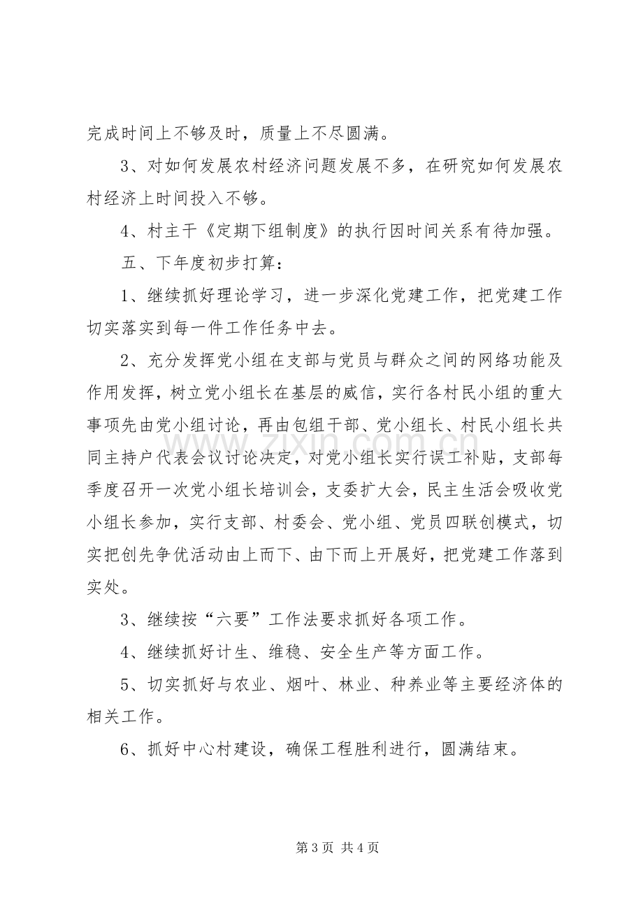 村支部书记XX年终述职报告.docx_第3页