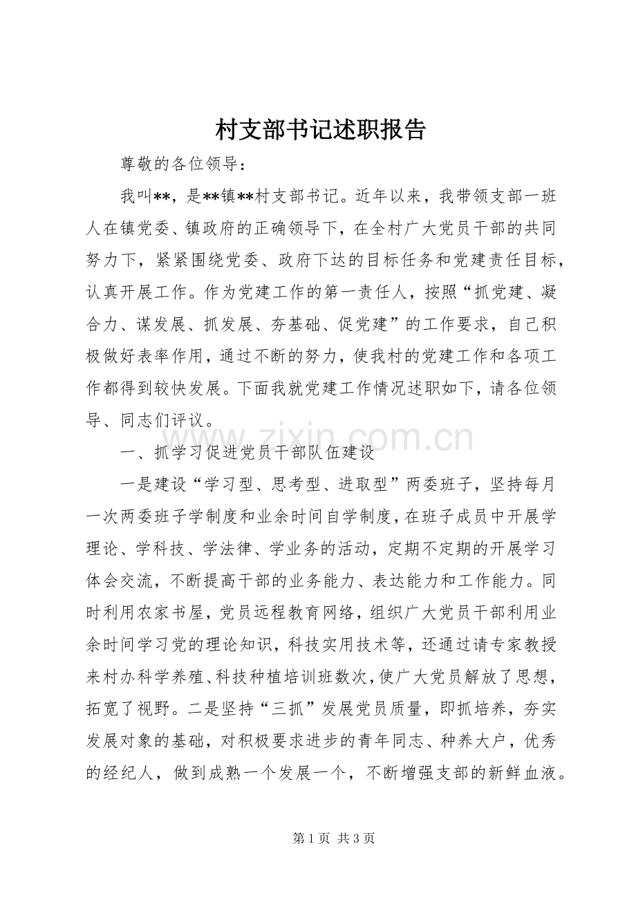 村支部书记述职报告 (28).docx_第1页