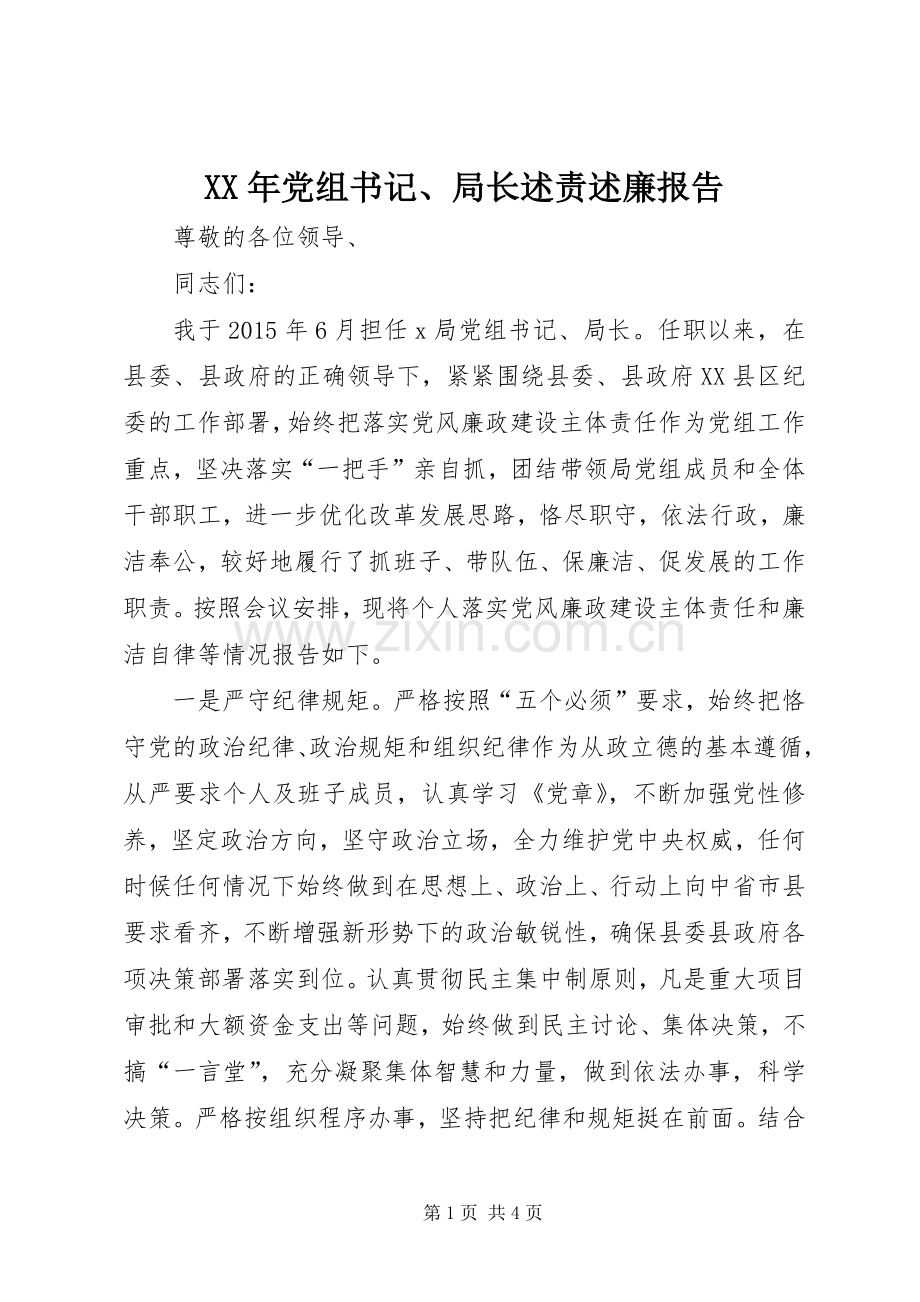 XX年党组书记、局长述责述廉报告.docx_第1页