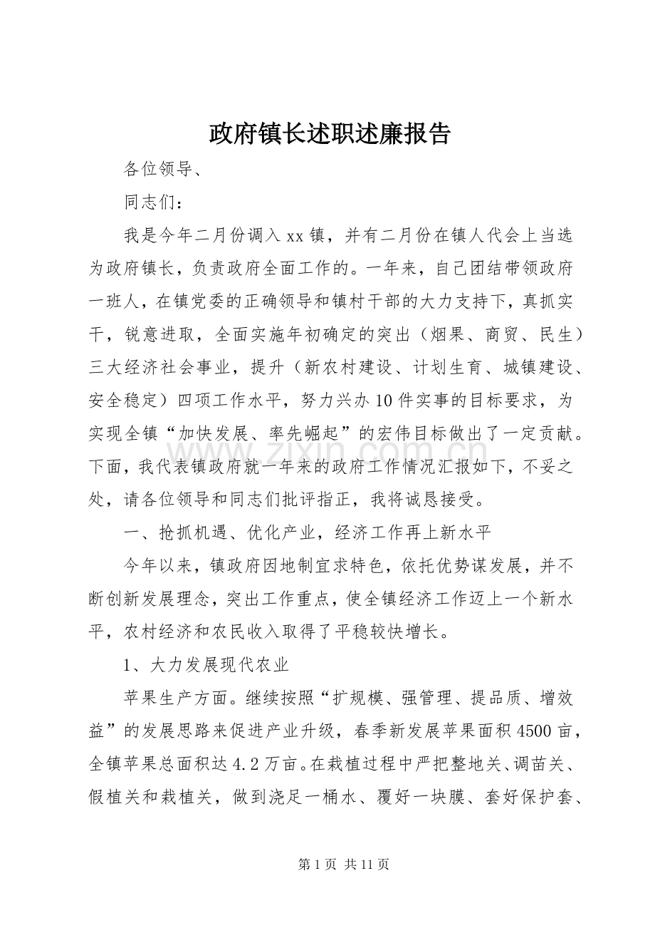 政府镇长述职述廉报告.docx_第1页