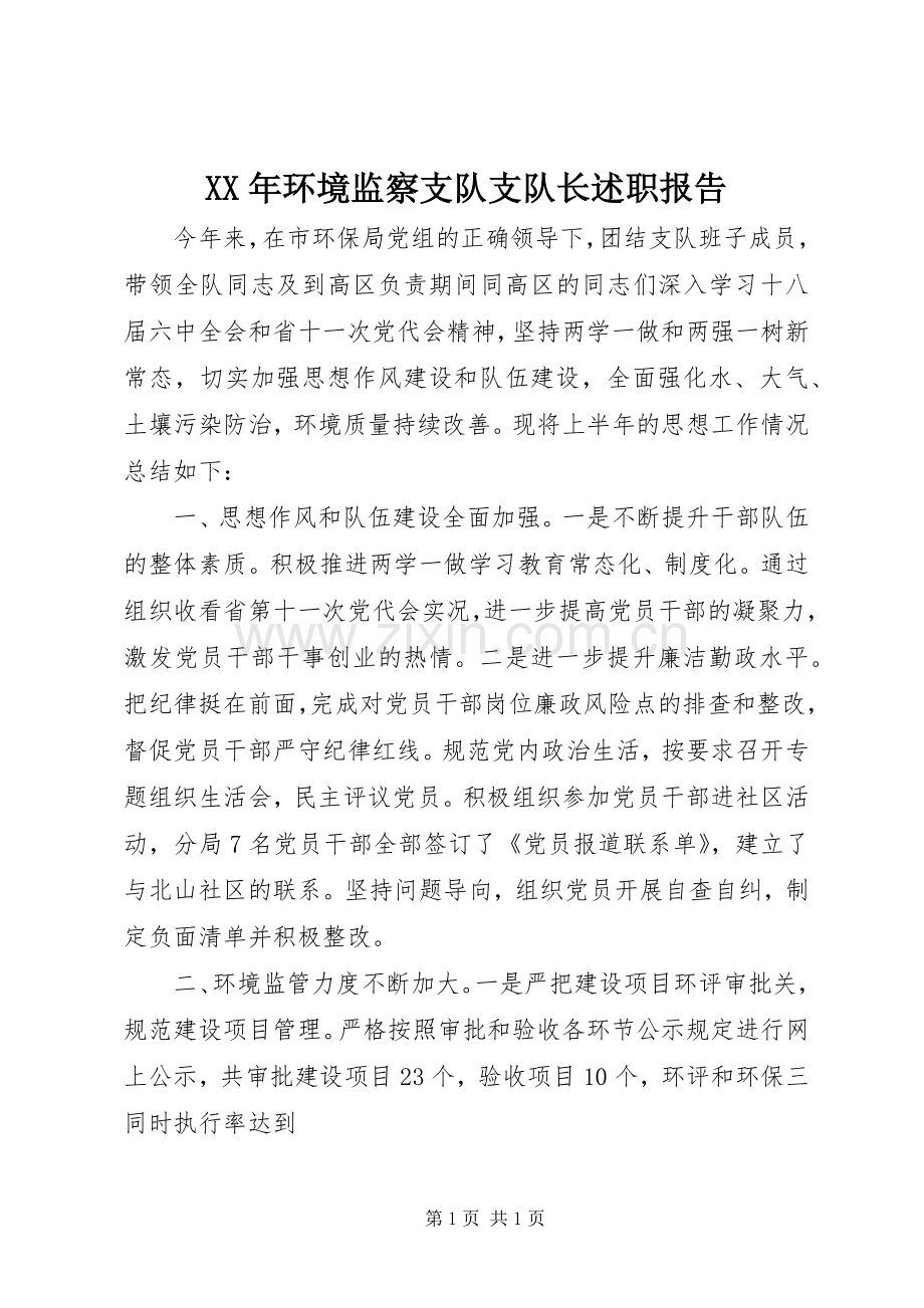 XX年环境监察支队支队长述职报告.docx_第1页