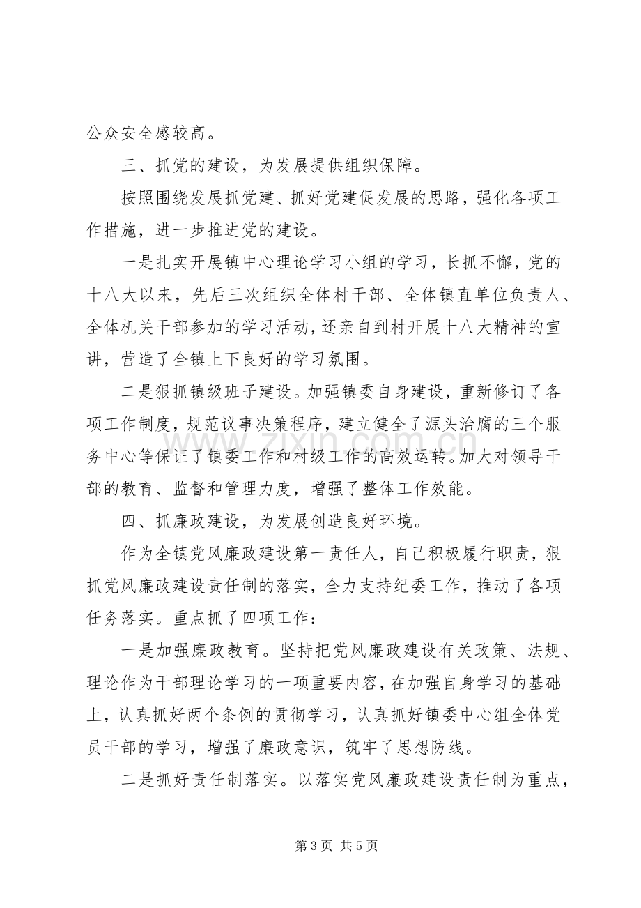 XX年乡镇述职述廉报告范文.docx_第3页