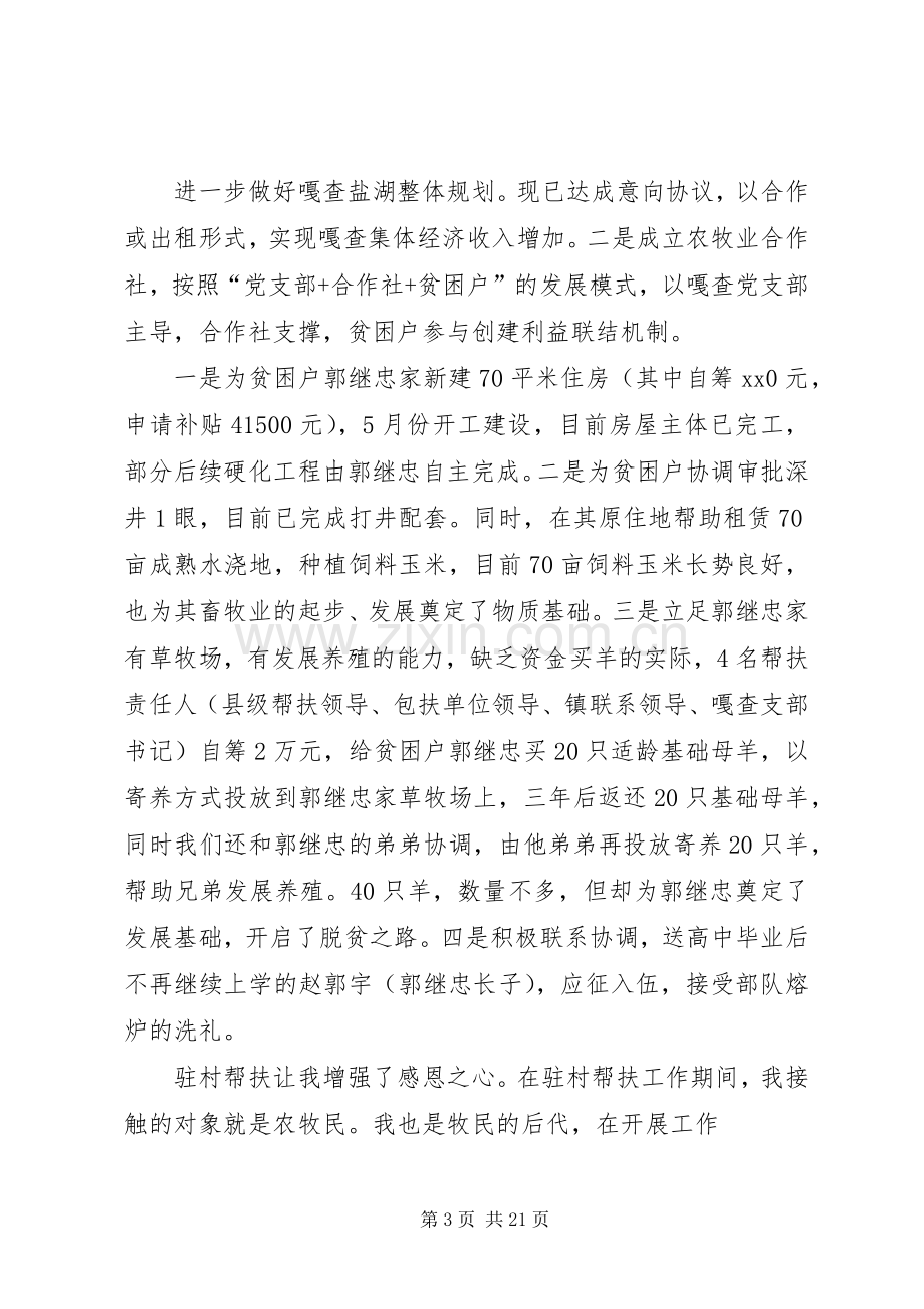 挂职干部半年述职报告.docx_第3页