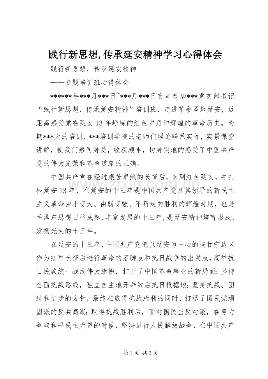 践行新思想,传承延安精神学习心得体会.docx_第1页