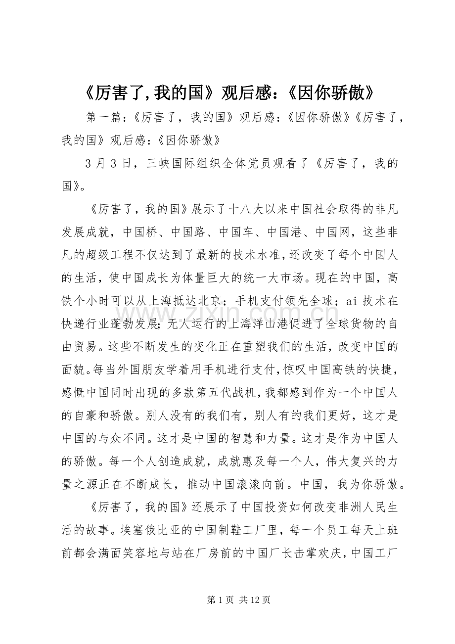 《厉害了,我的国》观后感：《因你骄傲》.docx_第1页