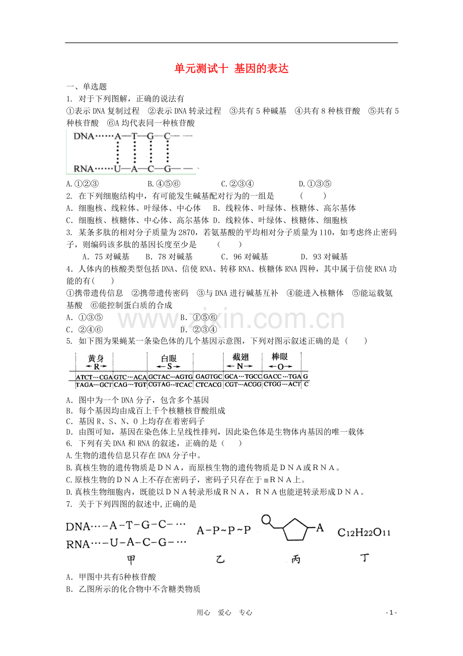 天津市2012届高三生物-《基因的表达》单元测试10-新人教版必修2.doc_第1页